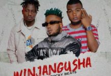 Ray Dee Ft B Quan & Pap Chiz – Winjangusha