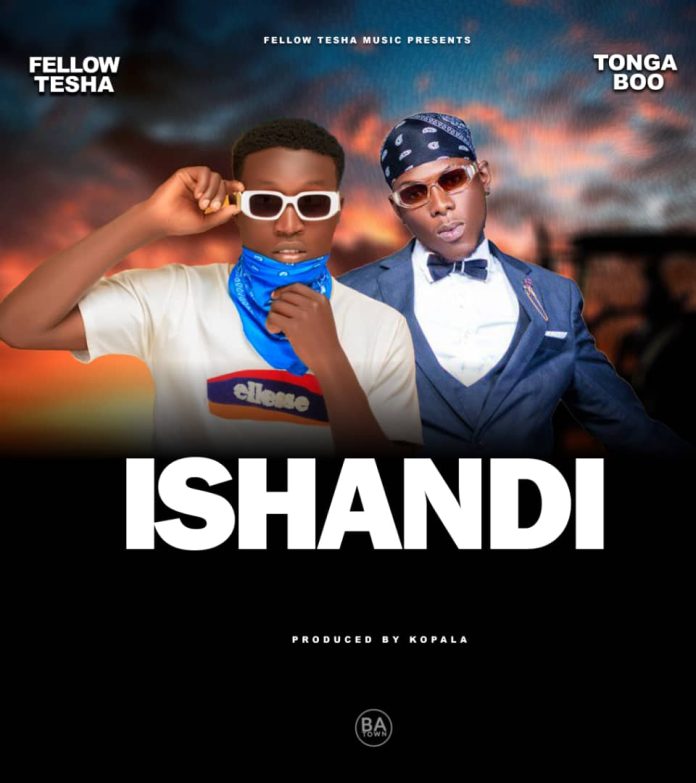 Fellow Tesha Ft Tonga Boo – Ishandi